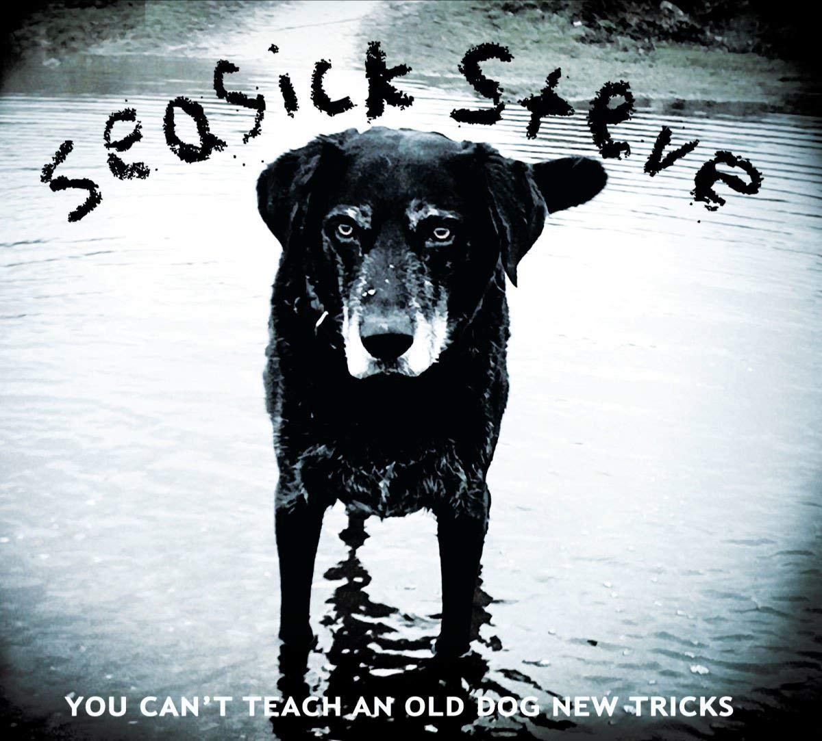 You Can't Teach An Old Dog New Tricks Alternative & Indie