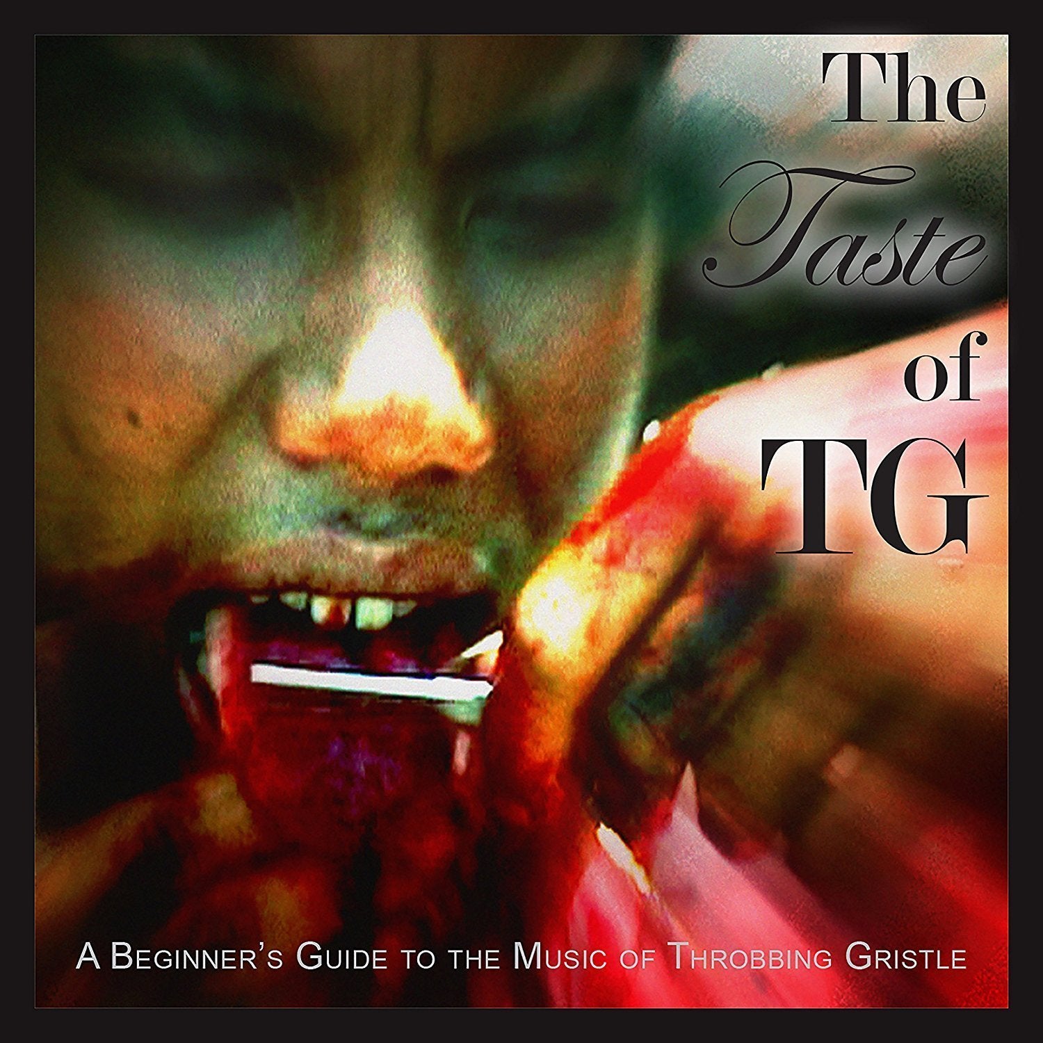 The Taste of Tg (A Beginner's Guide to the Music o Rock