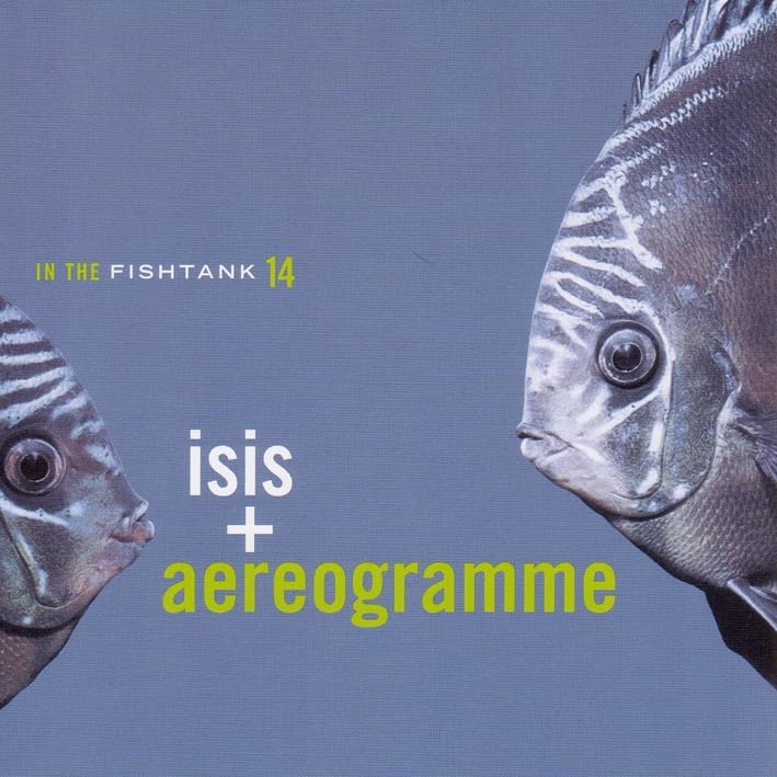 In The Fishtank Alternative & Indie