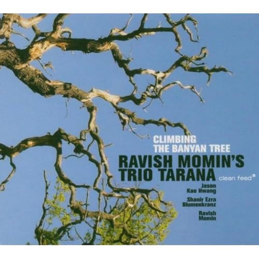 Product Image: Climbing the Banyan Tree