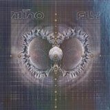Fly Dance & Electronic