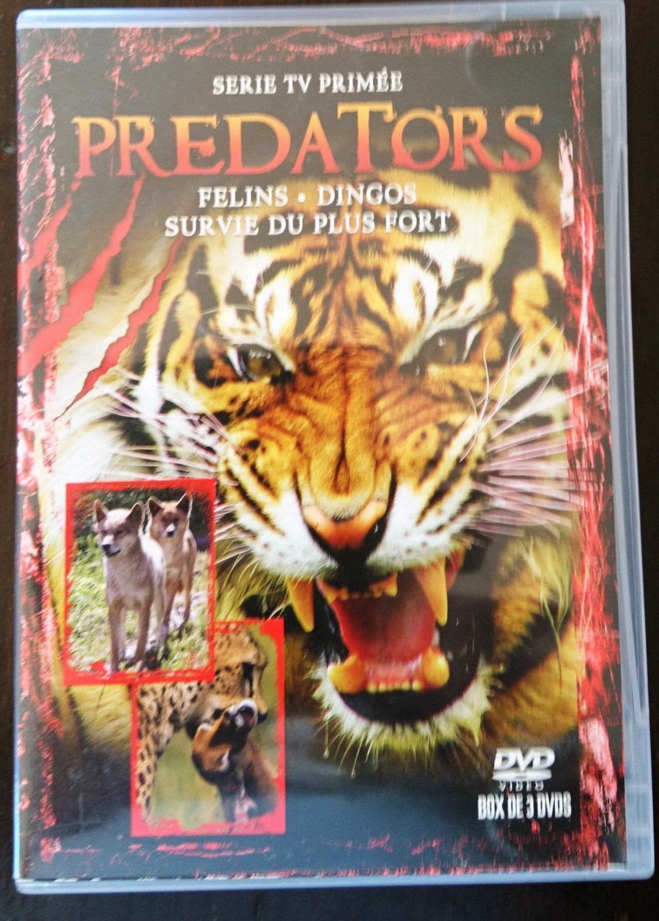 Pack Predators 1: Felins+dingos+survie du plus fort. Coffret 3 DVD dvd