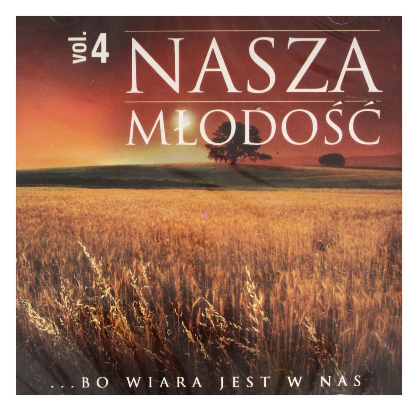 Cyganie Tip Top / Sekret / StanisĹ aw Wielanek: Nasza mĹ odoĹ ć vol. 4 Music