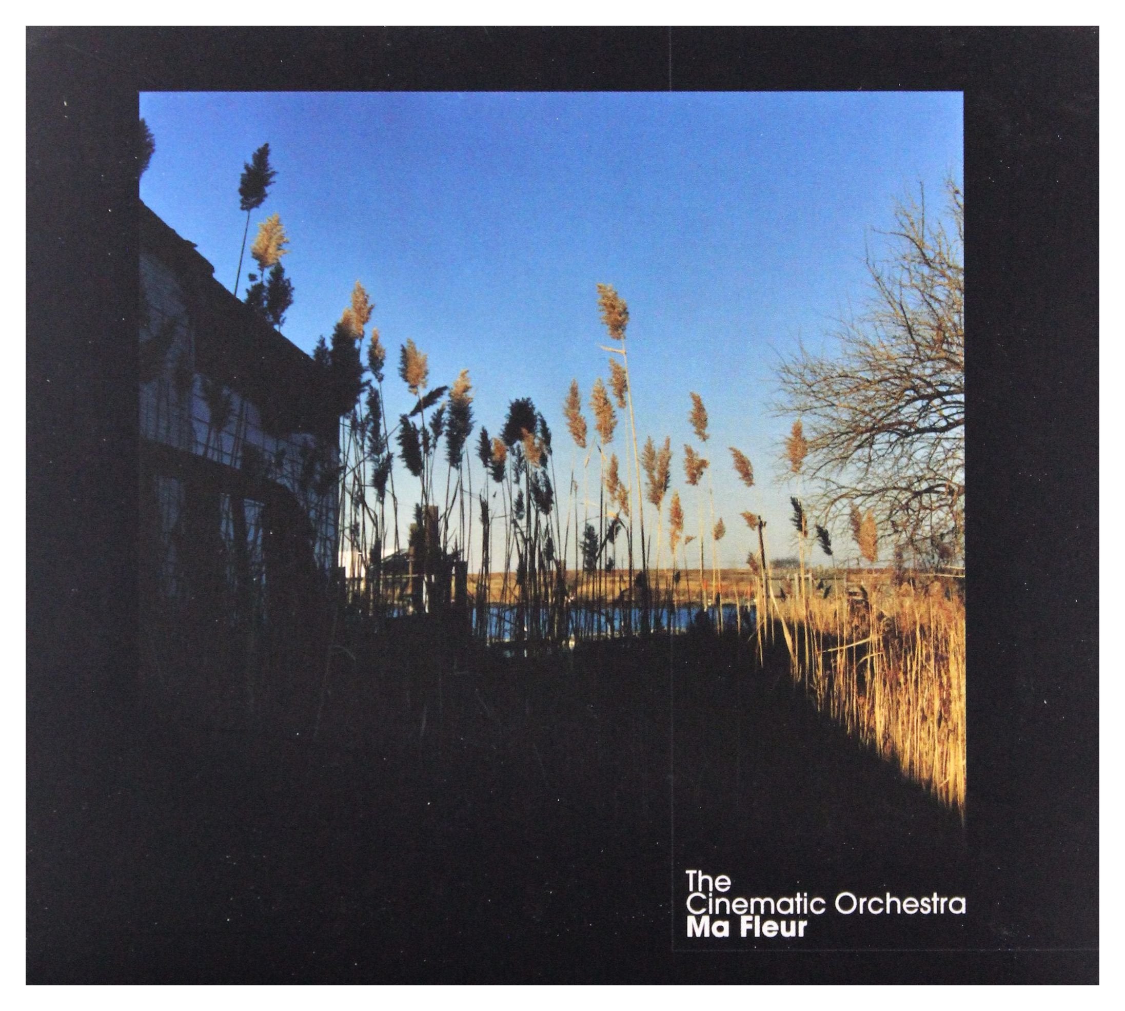 Submotion Orchestra / Cinematic Orchestra: Ma Fleur Music