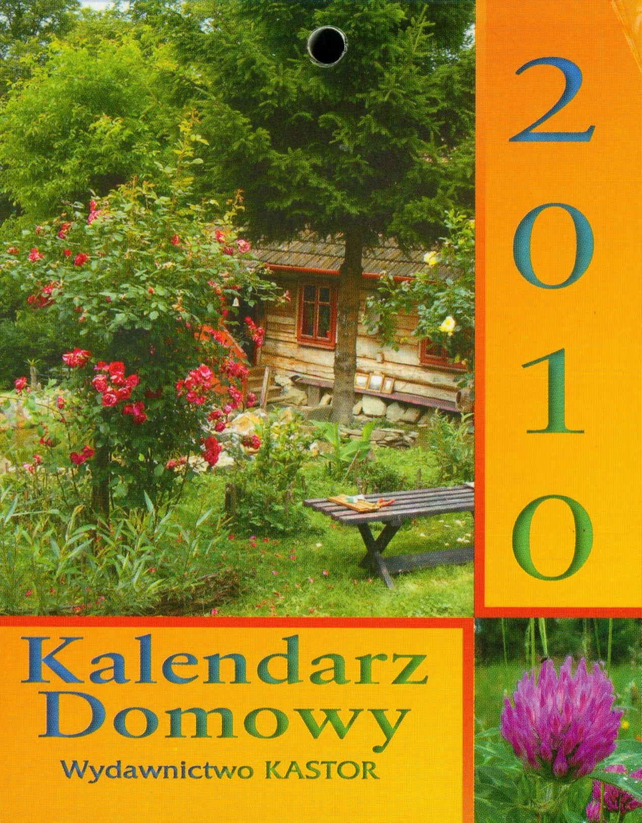 Kalendarz 2010 Kalendarz domowy Books