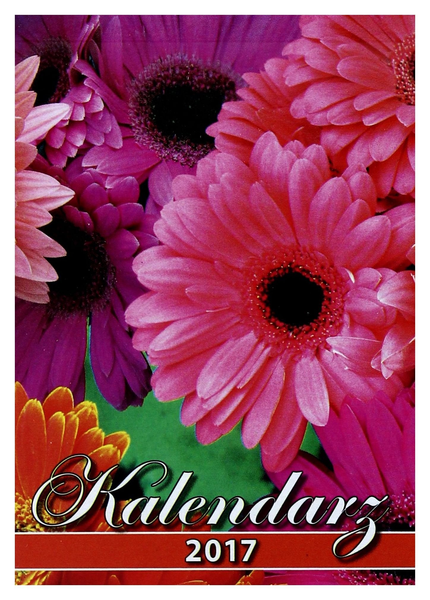 Zdzierak. Kalendarz Ĺcienny 2017 book