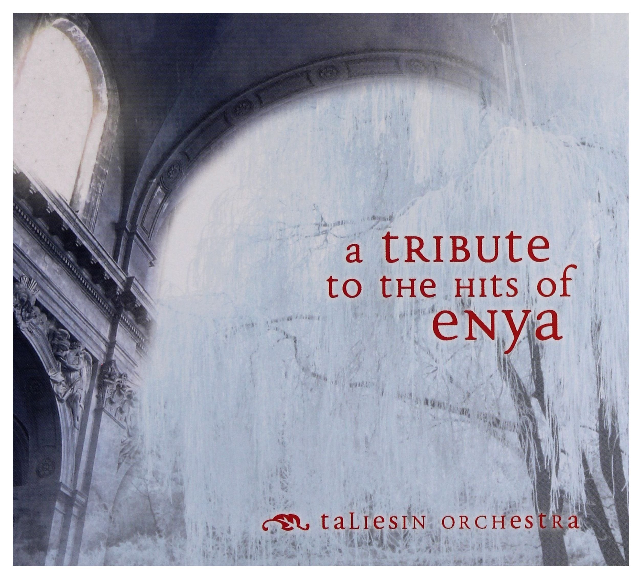A Tribute to the Hits of cd