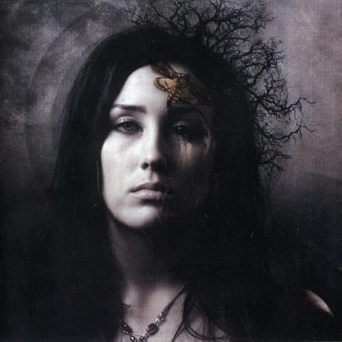 Darkness Between Metal & Hardrock