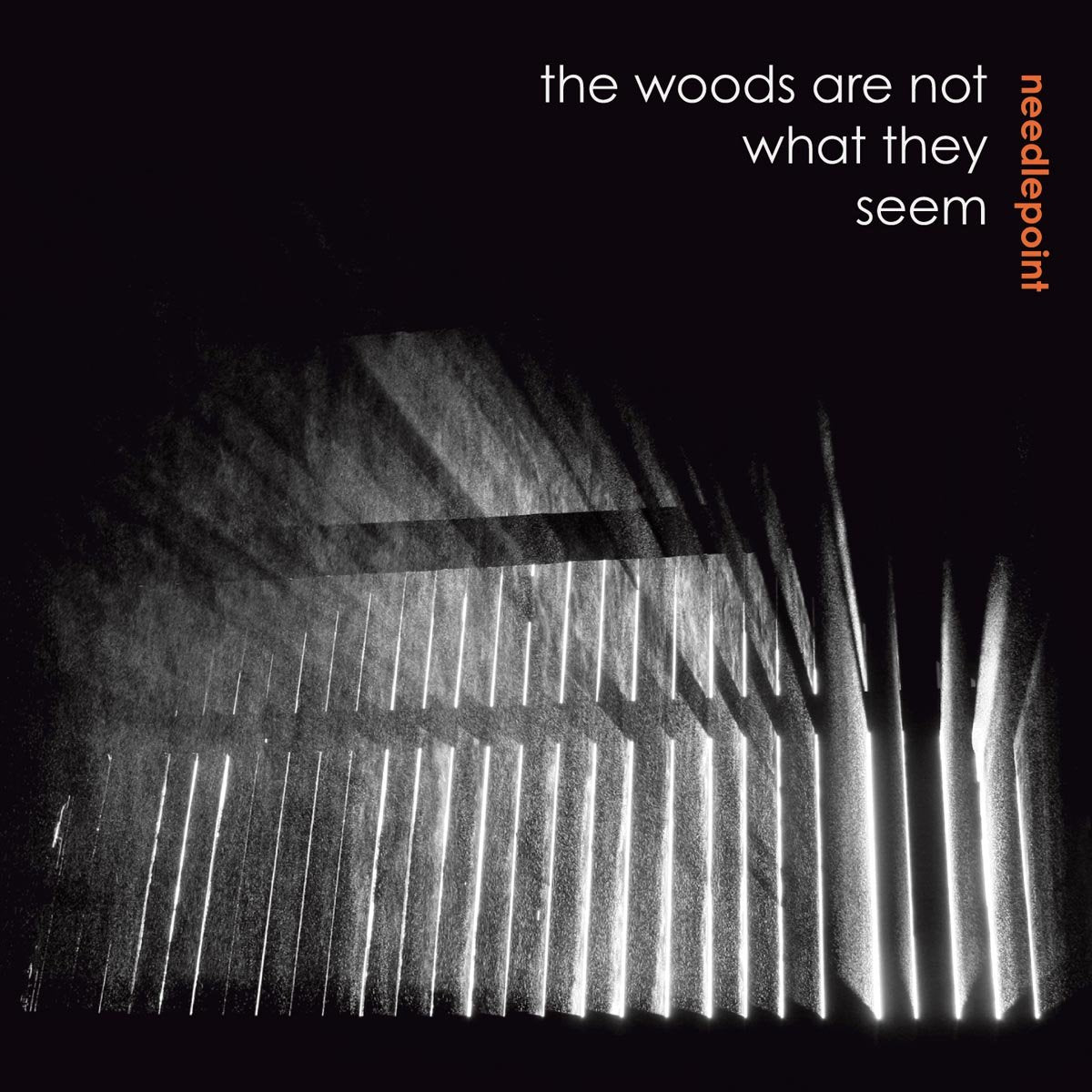Product Image: The Woods Are Not What They Seem