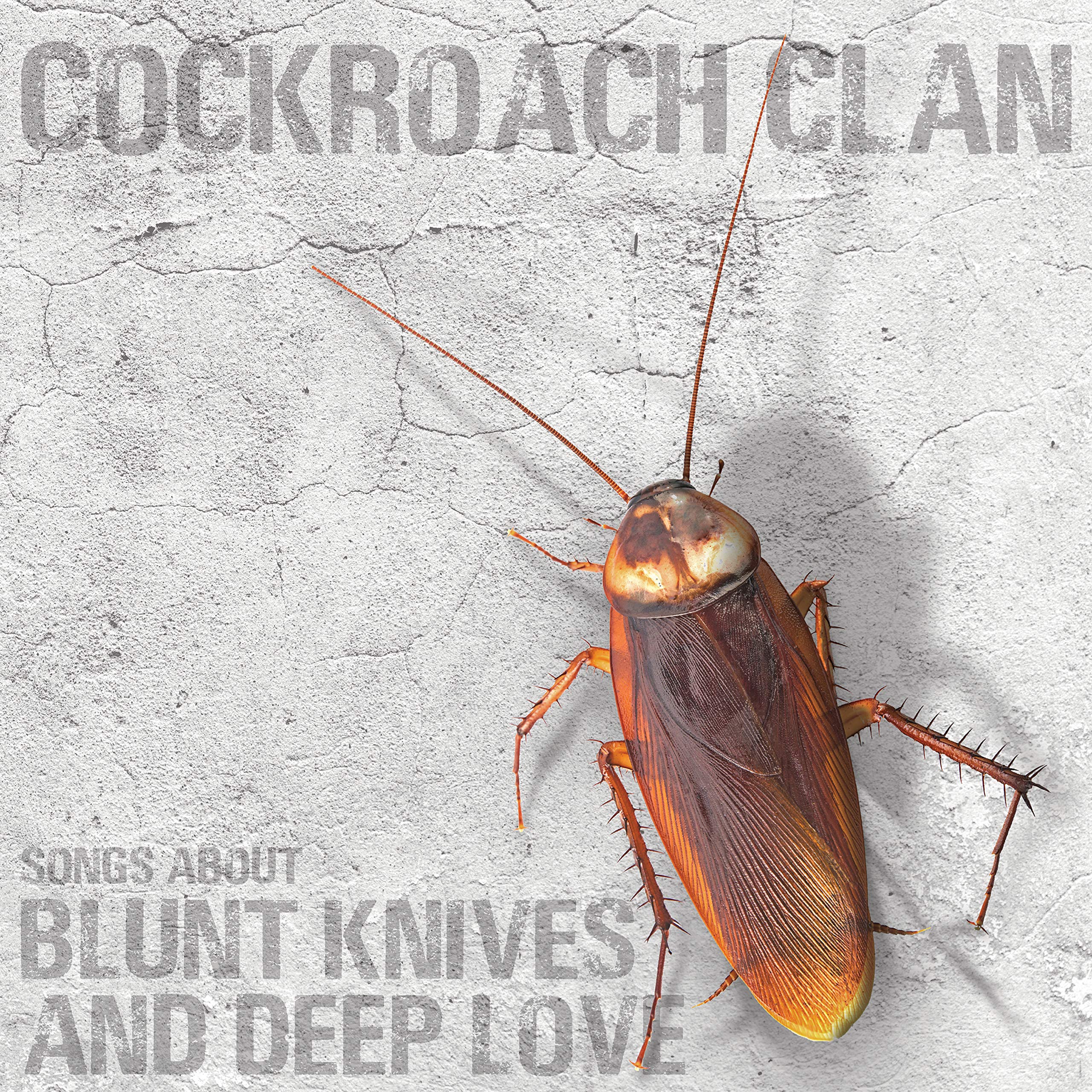 Songs About Blunt Knives and Deep Love Pop