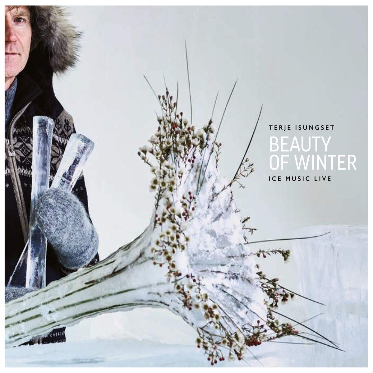 Beauty of Winter-Ice Music Live Jazz