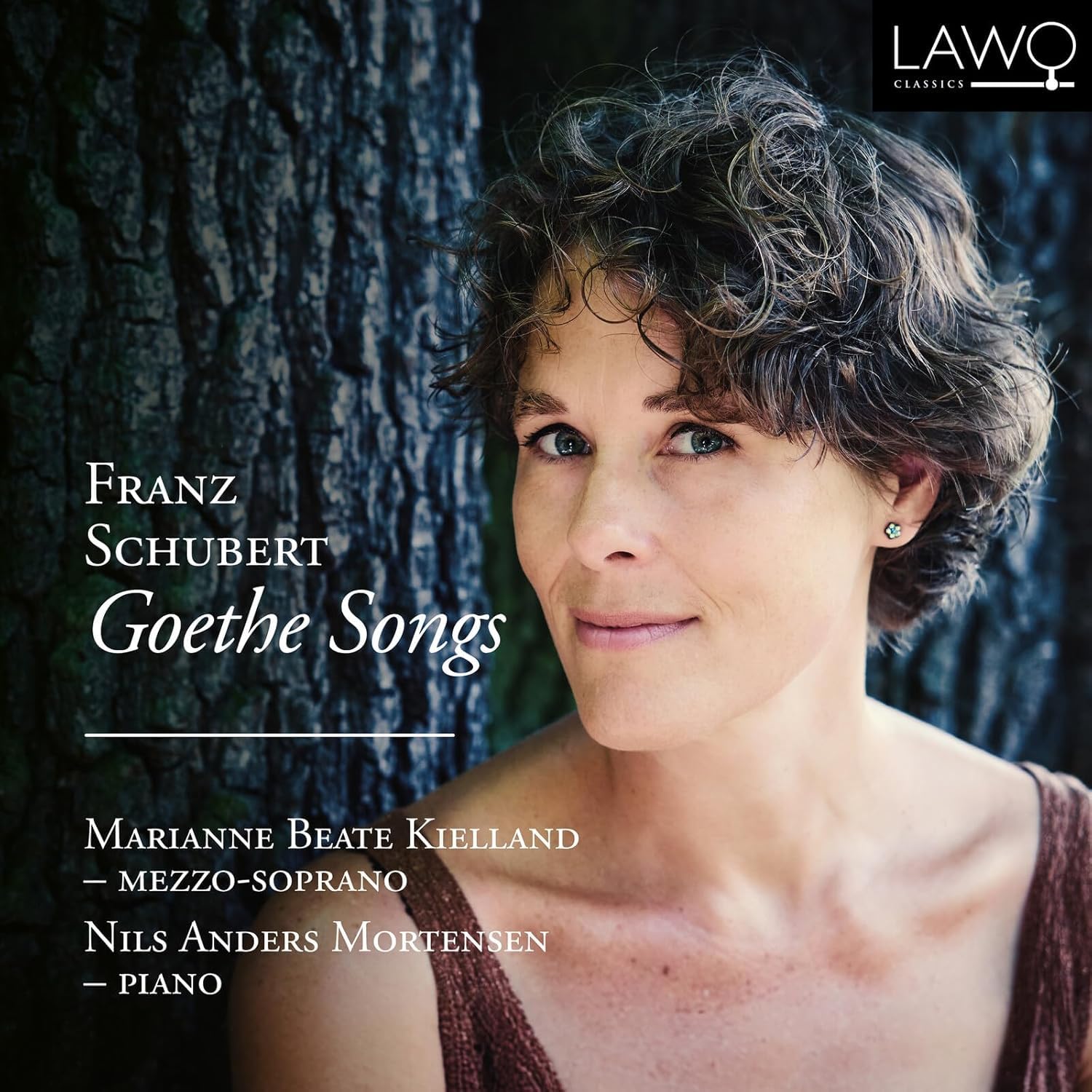 Franz Schubert: Goethe-Lieder Country & Folk