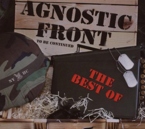 To Be Continued-the Best of Alternative & Indie
