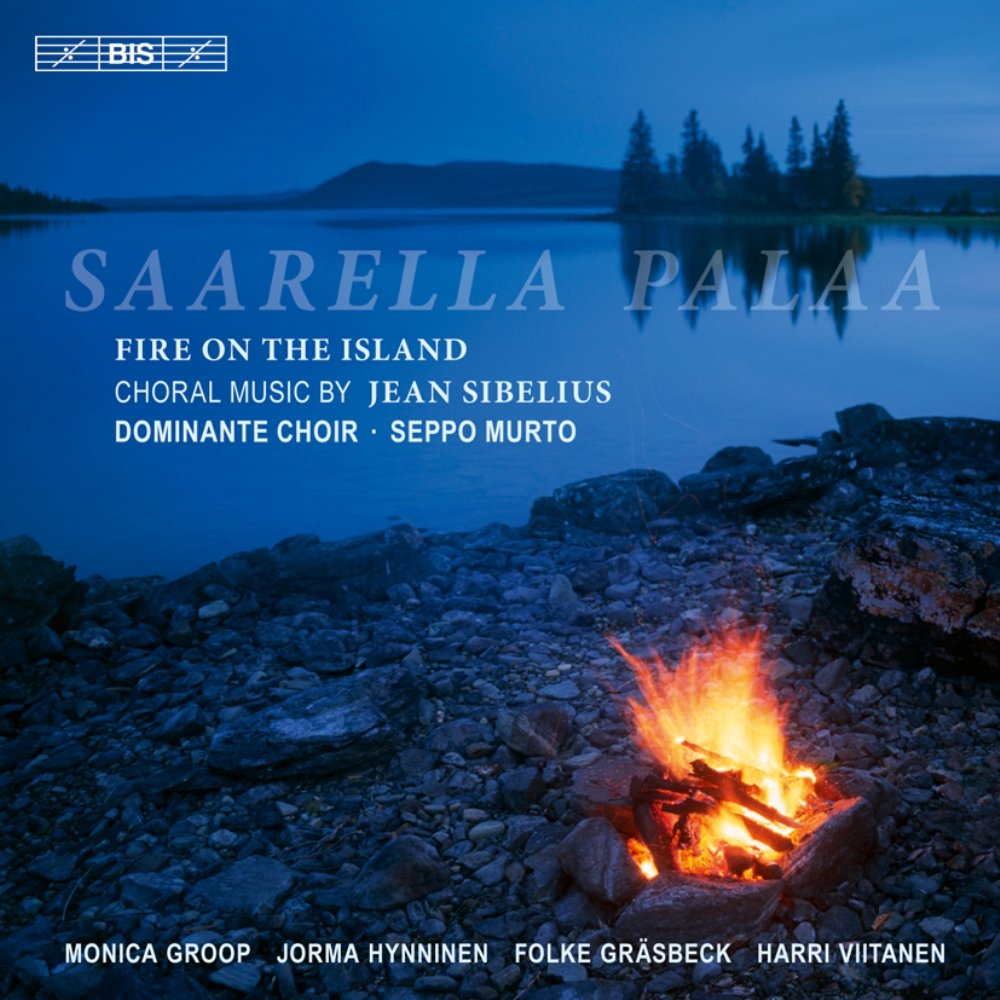 Saarella palaa-Feuer auf der Insel Classical