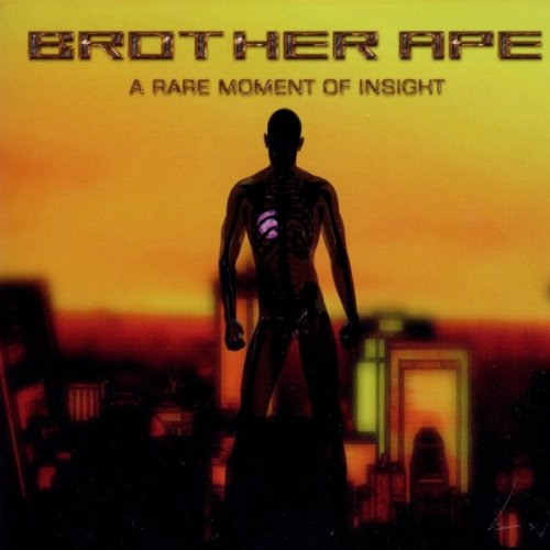 A Rare Moment of Insight cd