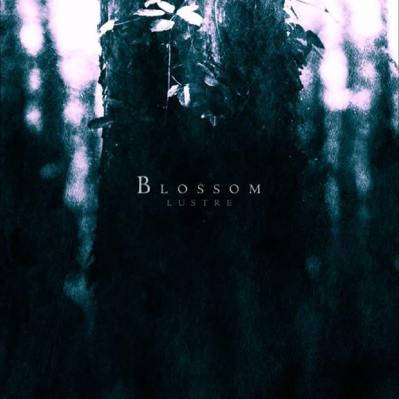 Blossom Metal & Hardrock