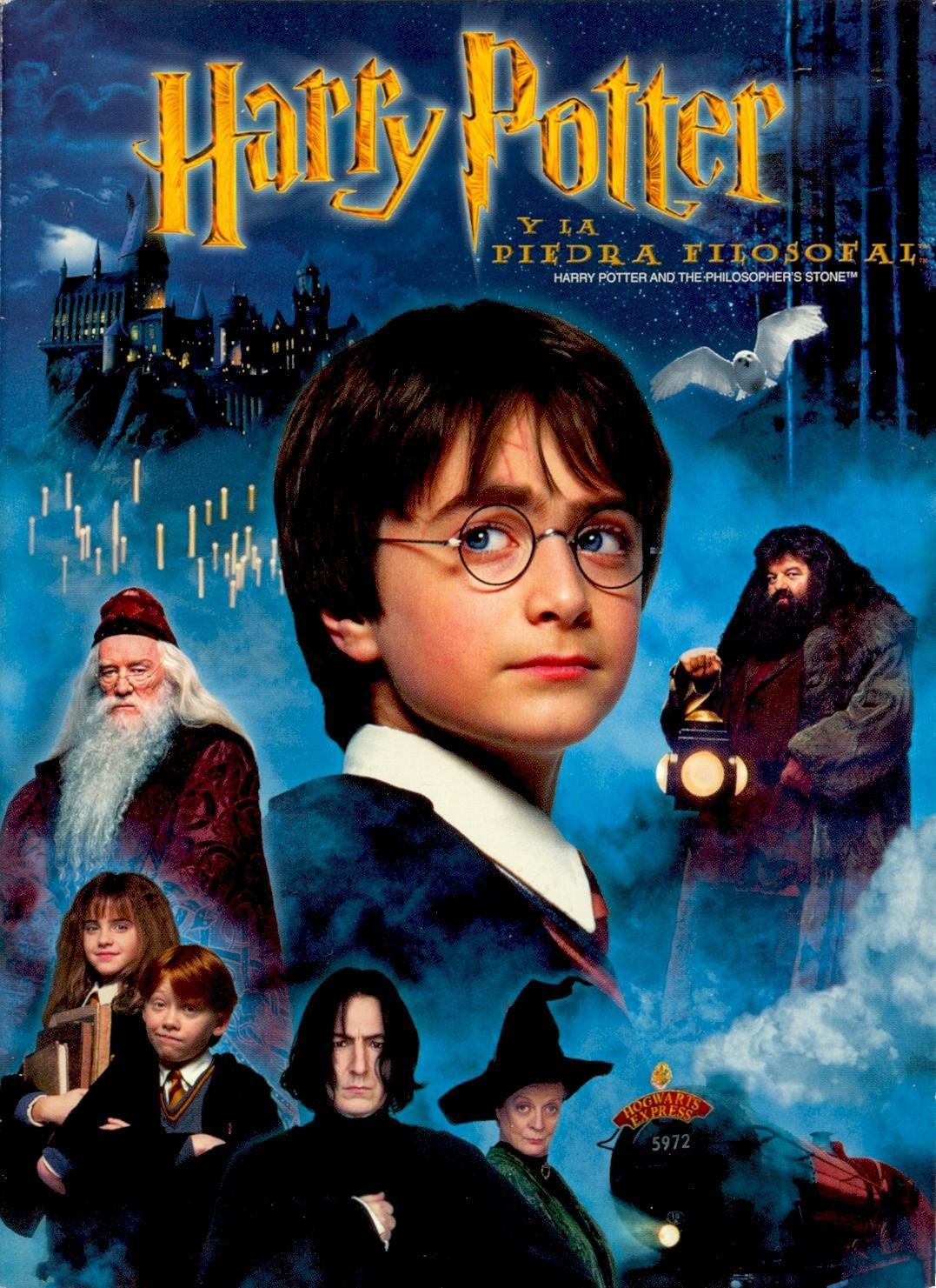 Harry Potter Y La Piedra FilosofalDvd Books