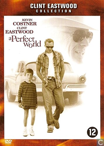 DVD - Perfect world (1 DVD) Films