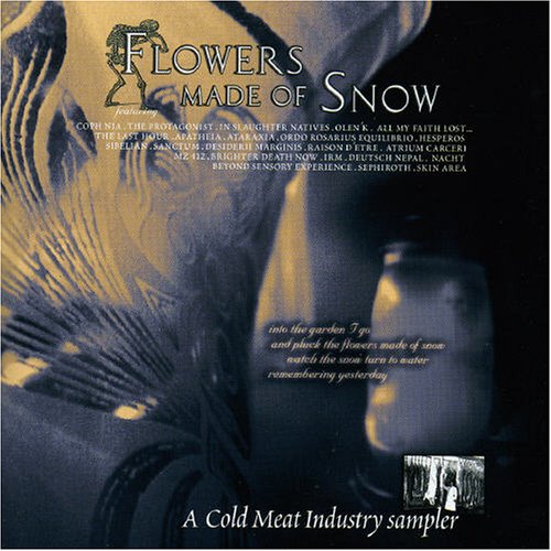 flowers made of snow Dance & Electronic