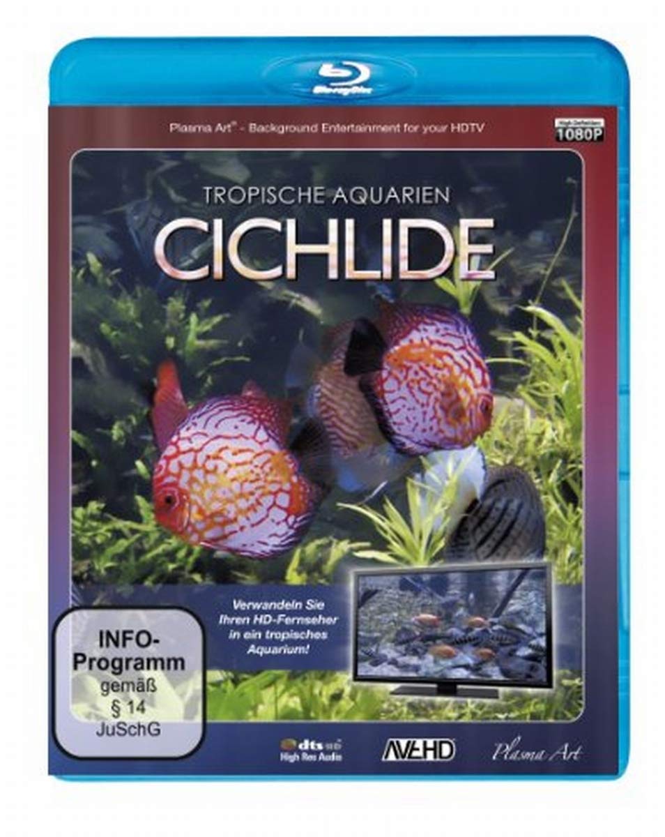 Cichlide - Tropische Aquarien Movies