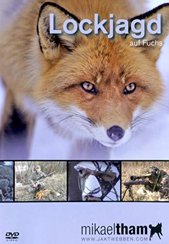 Lockjagd auf Fuchs Films