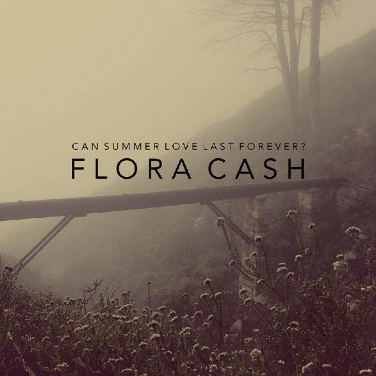Can Summer Love Last Forever? cd