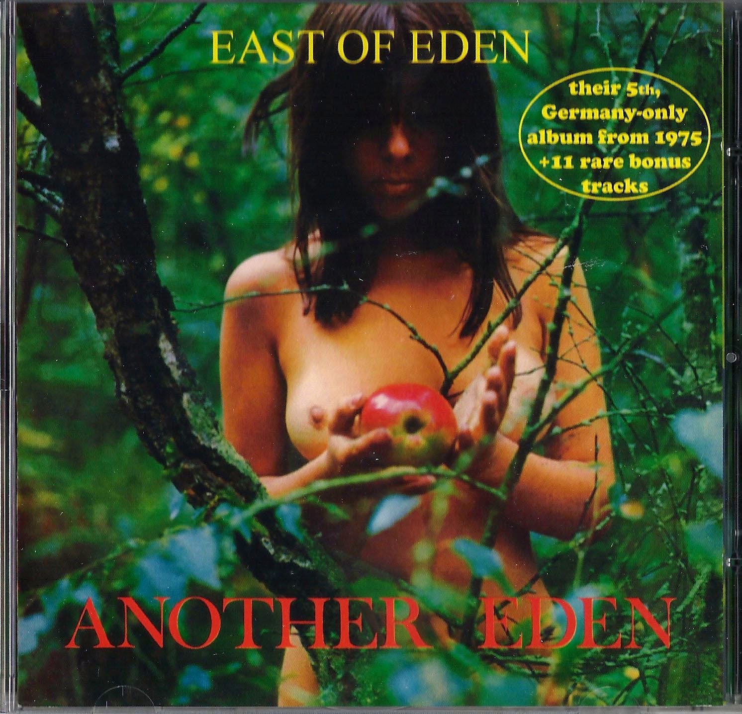 Product Image: Another Eden