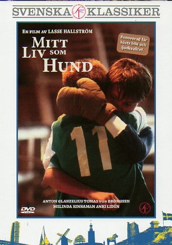 DVD Schweden/schwedisch: Mitt Liv Som Hund Films