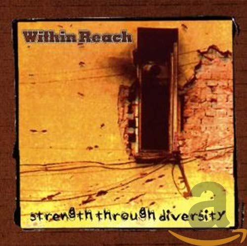 ++Strength Through Diversity Alternative & Indie