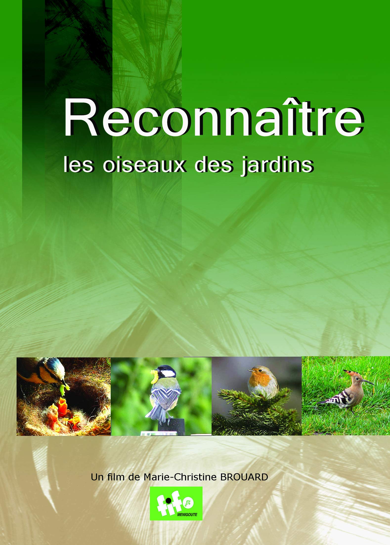 Reconnaitre Oiseaux de Jardins Music