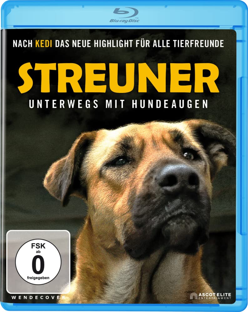 Streuner - Unterwegs mit Hundeaugen Films