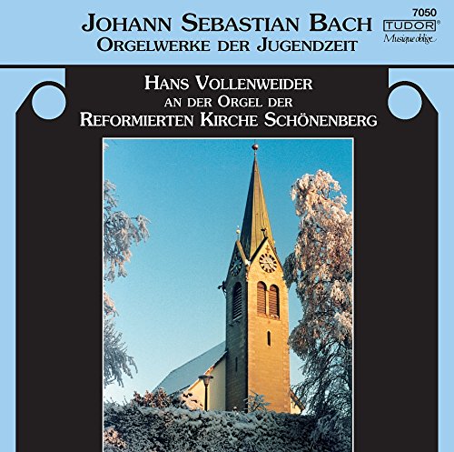 Orgel D.Ref.Kirche Schönenberg Classical