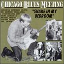 Snake In My Room Music