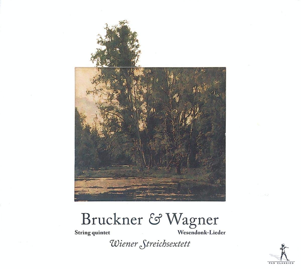 Product Image: Streichquintett/Wesendonkliede