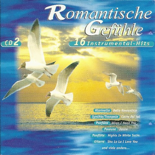 Romantische Gefühle - 16 Instrumental-Hits Vol. 2 Music