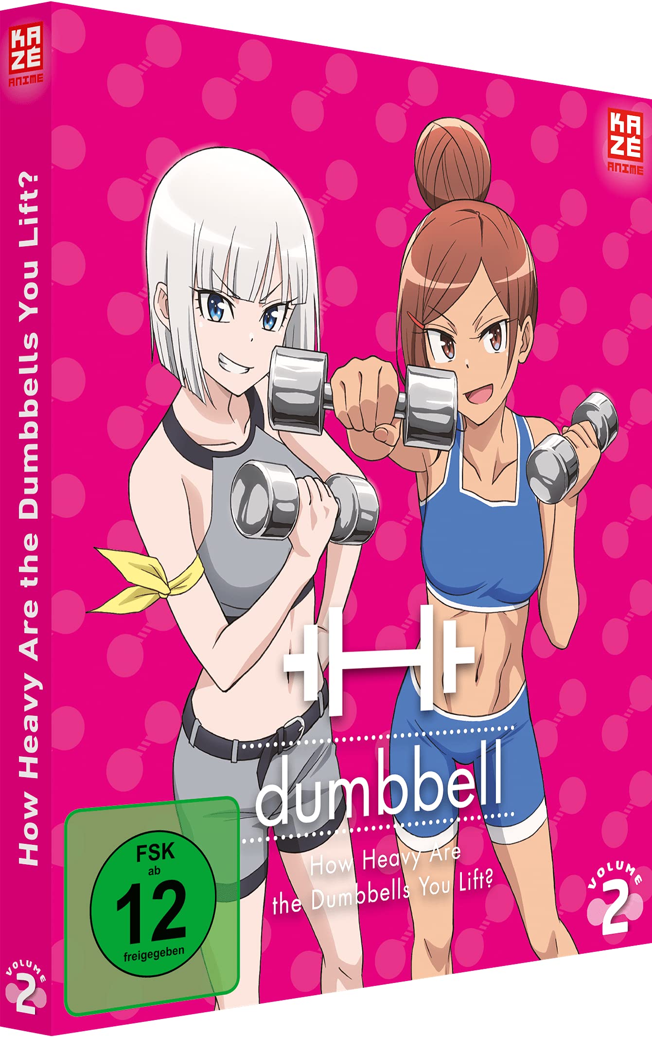 How Heavy are the Dumbbells You Lift - DVD 2 dvd