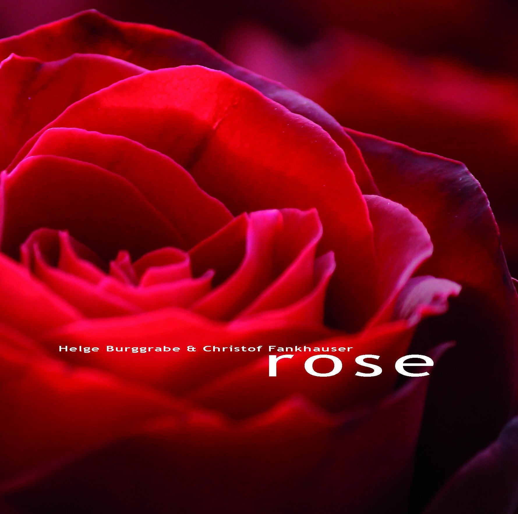 Noldi Alder (Violine) - ROSE (CD) Music