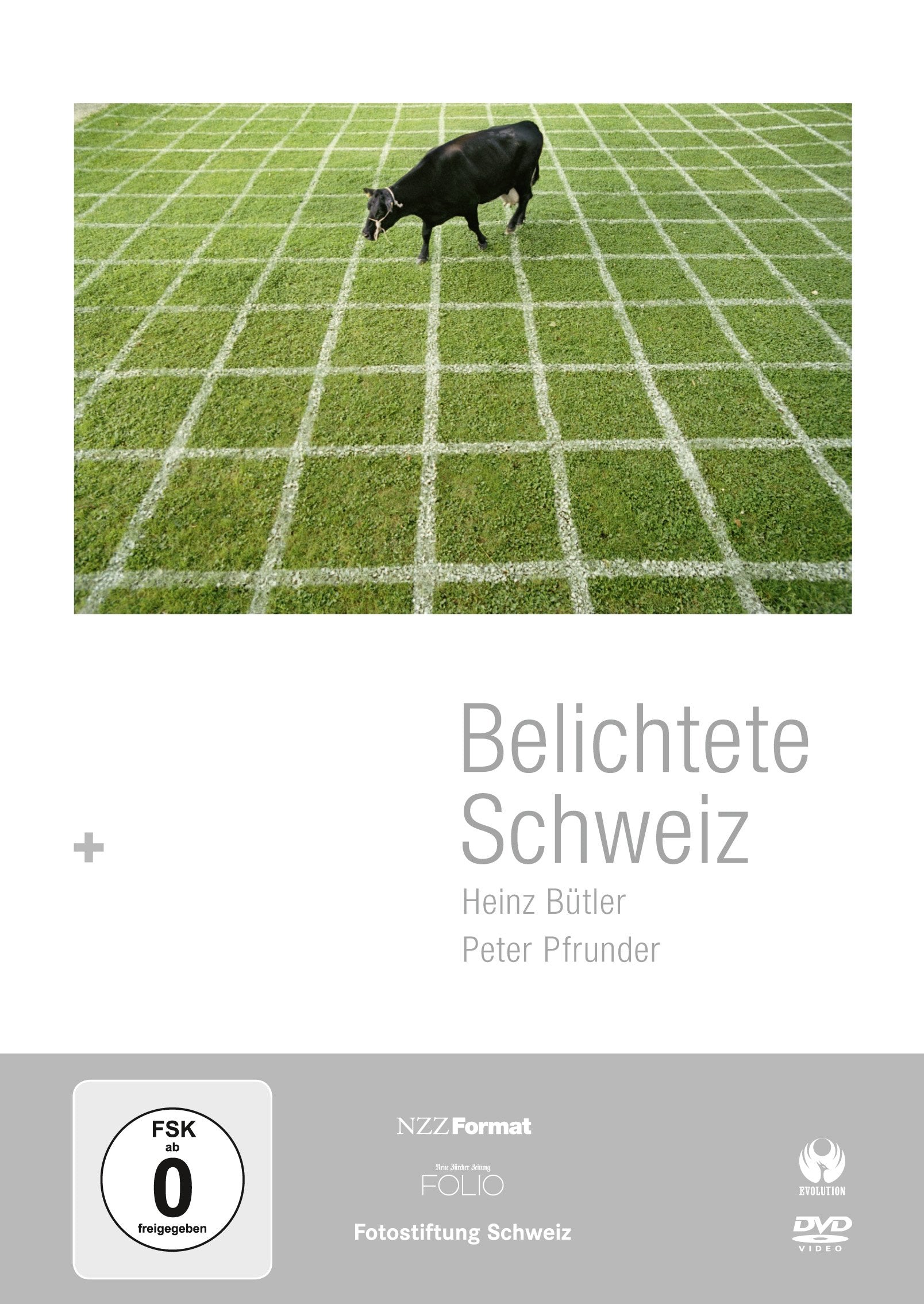 Belichtete Schweiz - NZZ Format - Was Fotografien über ein Land erzählen - DVD mit 20 Kurzfilmen (120 Minuten Laufzeit) im Schuber mit informativem Begleitbuch Movies