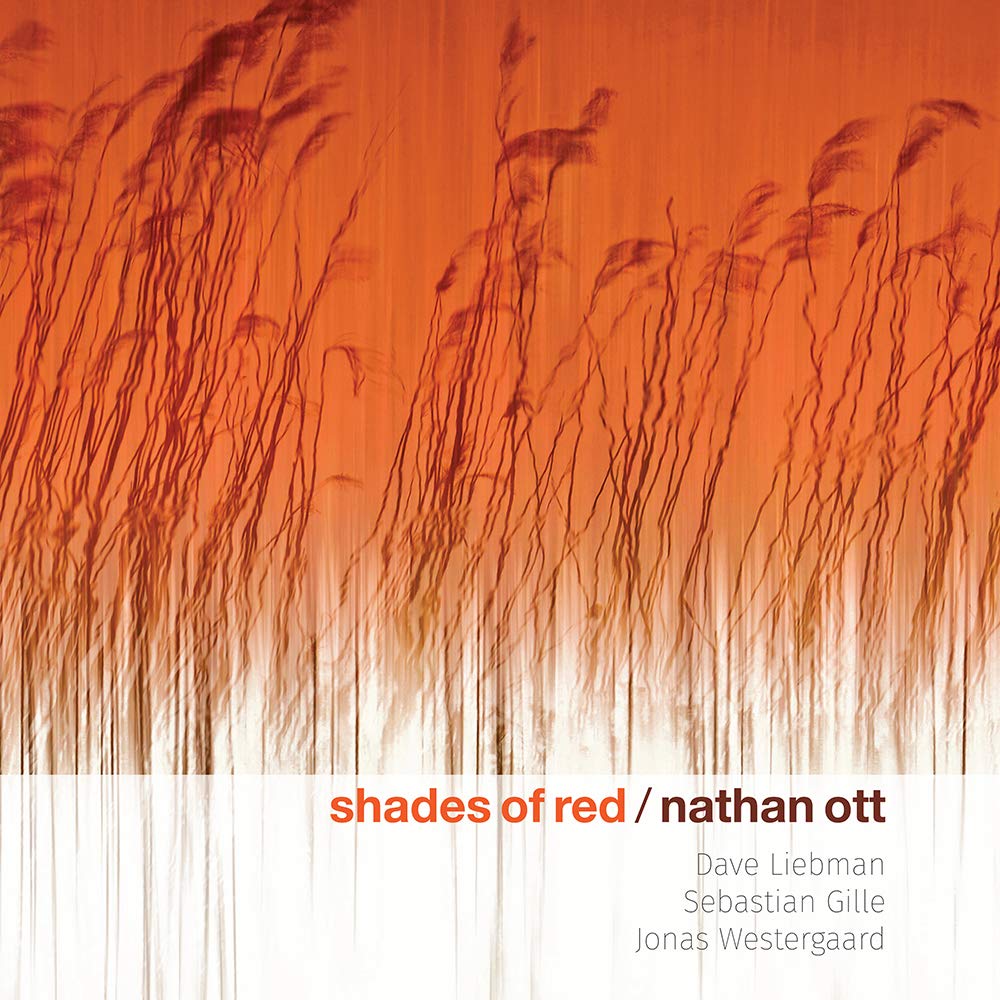 Product Image: Shades of Red