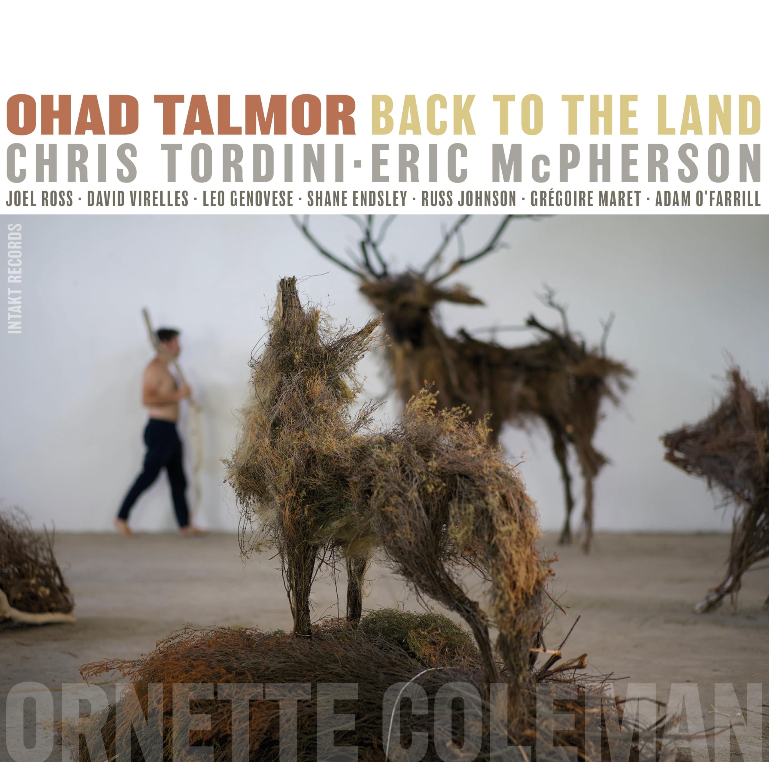 Product Image: Back to the Land