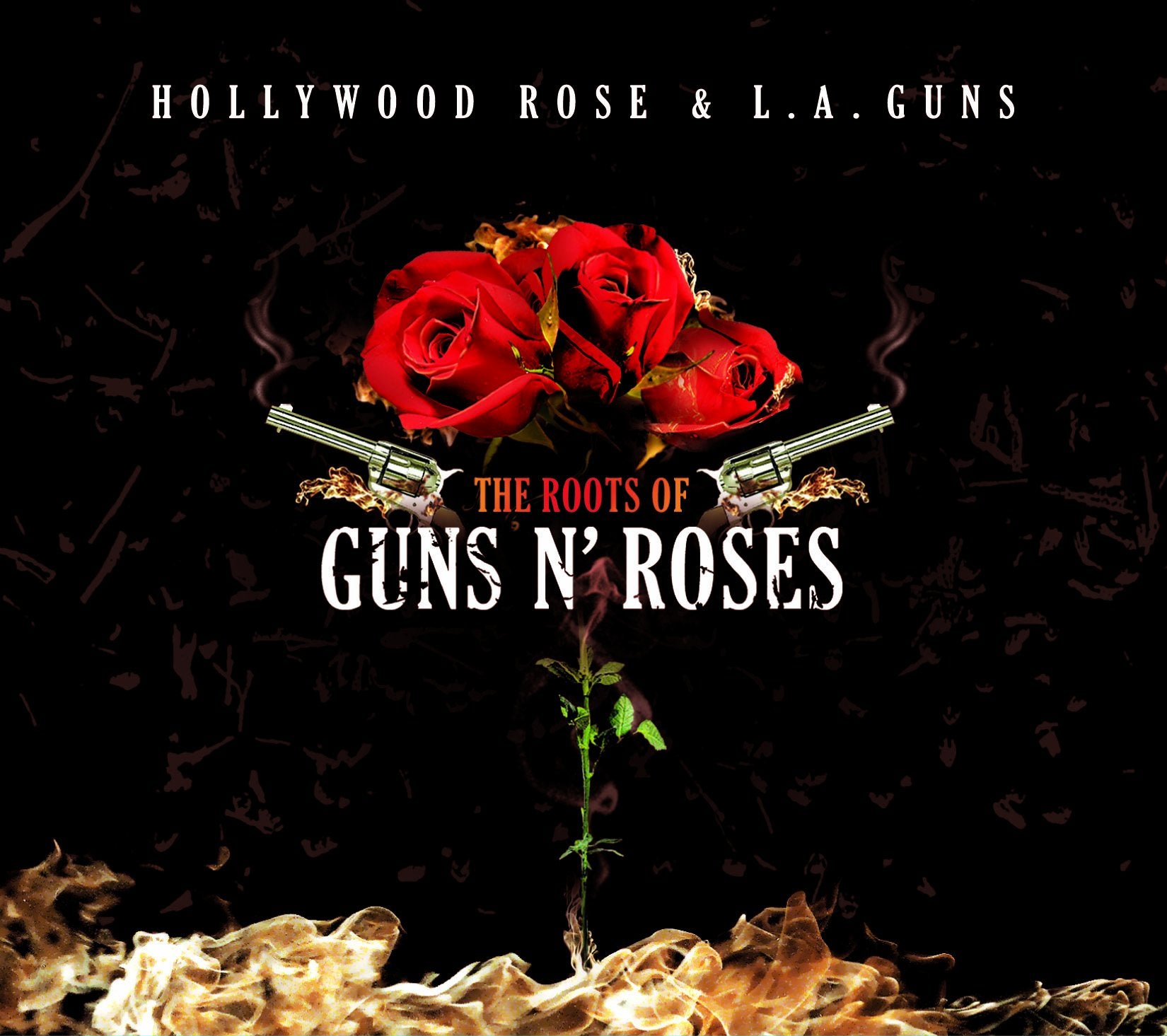 The Roots of Guns N'Roses Metal & Hardrock