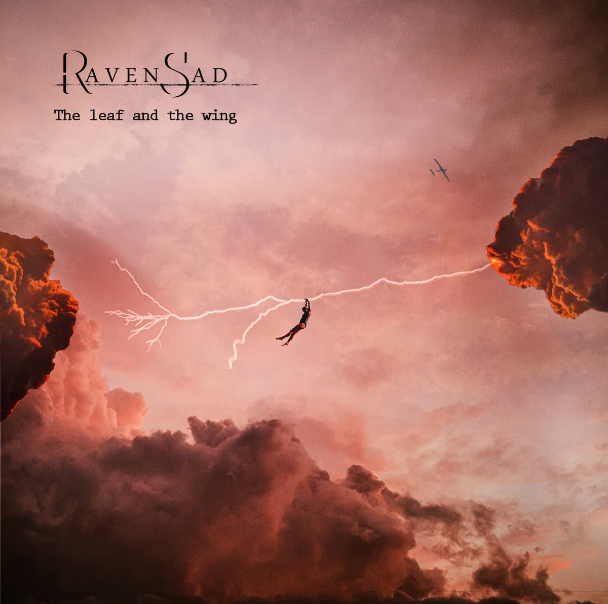 Leaf and the Wing Music