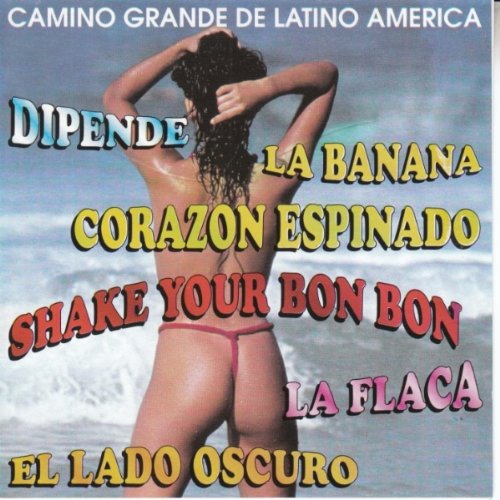Camino Grande de Latino Americ cd
