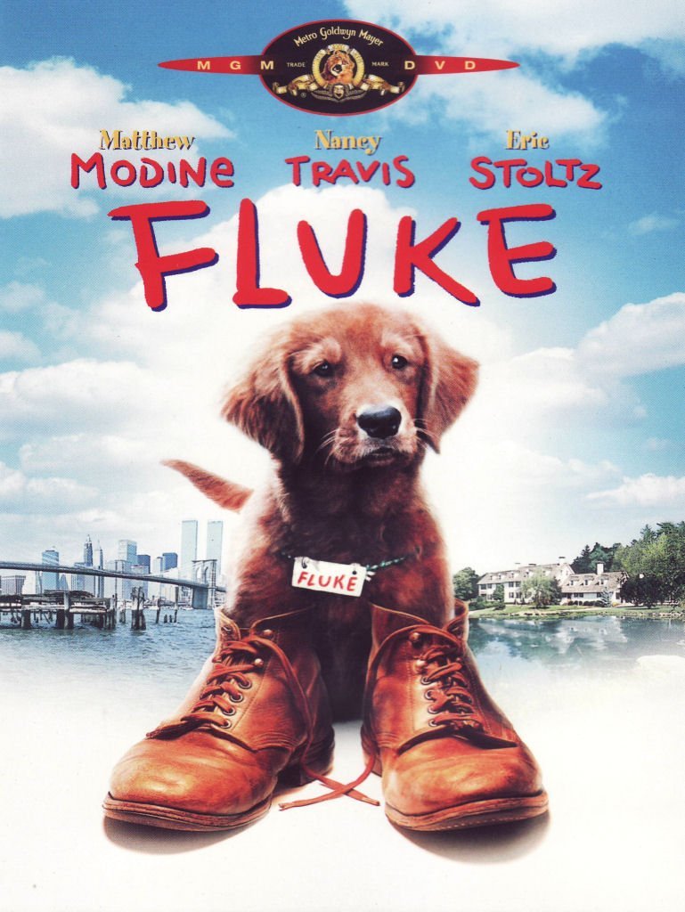 Product Image: Fluke