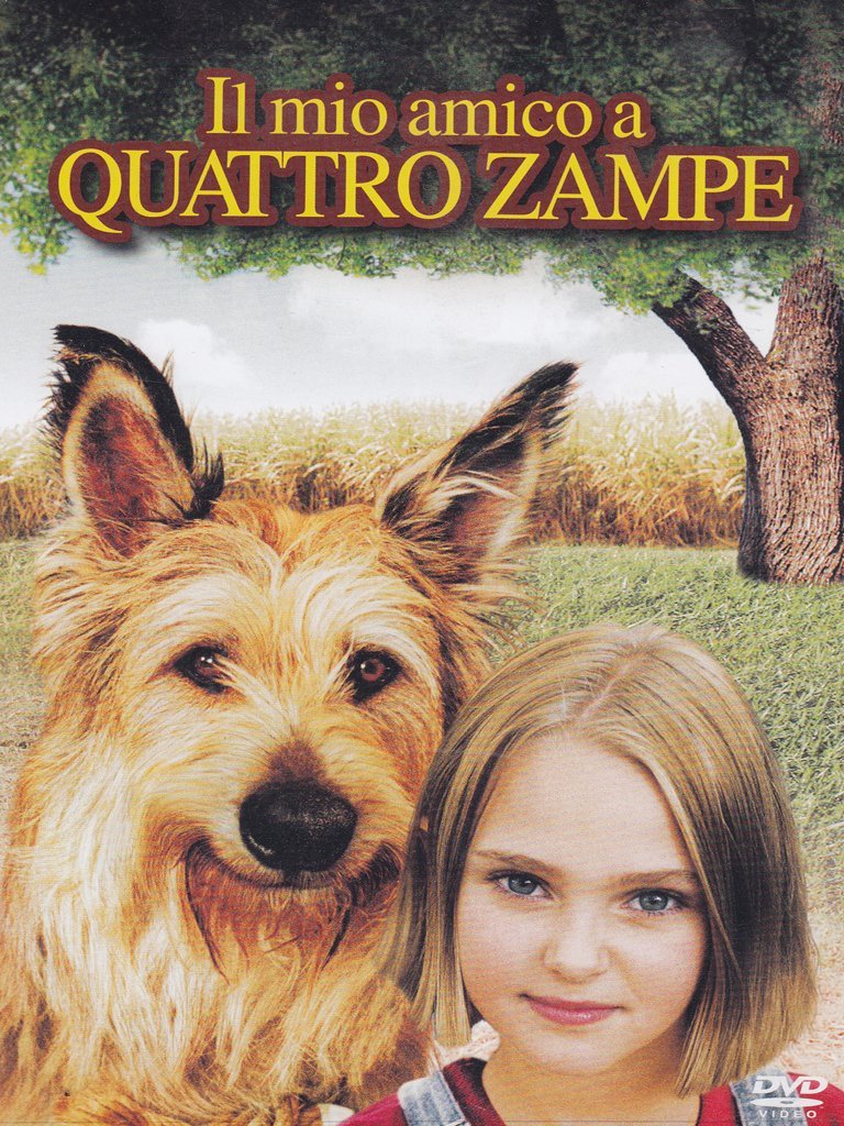 Product Image: Il mio amico a quattro zampe