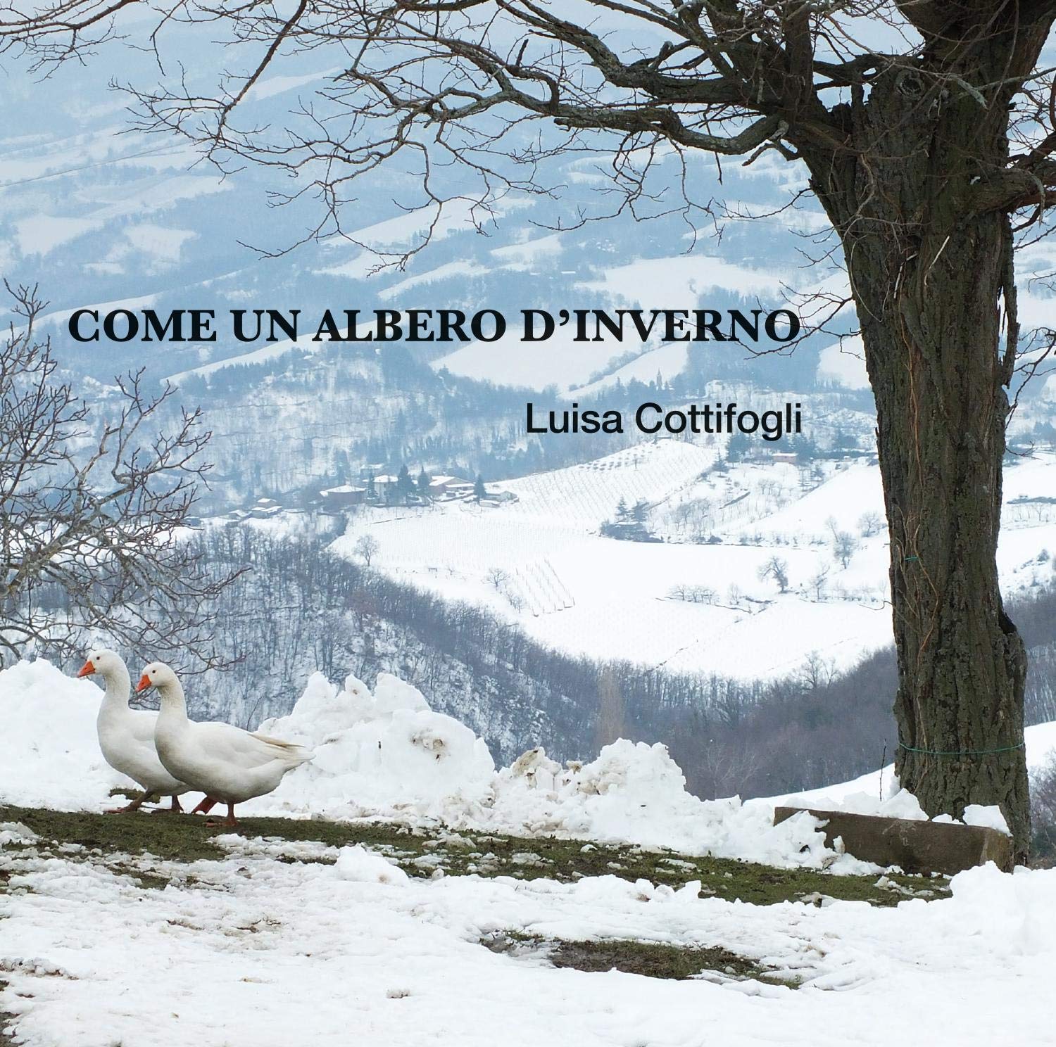 Come Un Albero D'Inverno Jazz