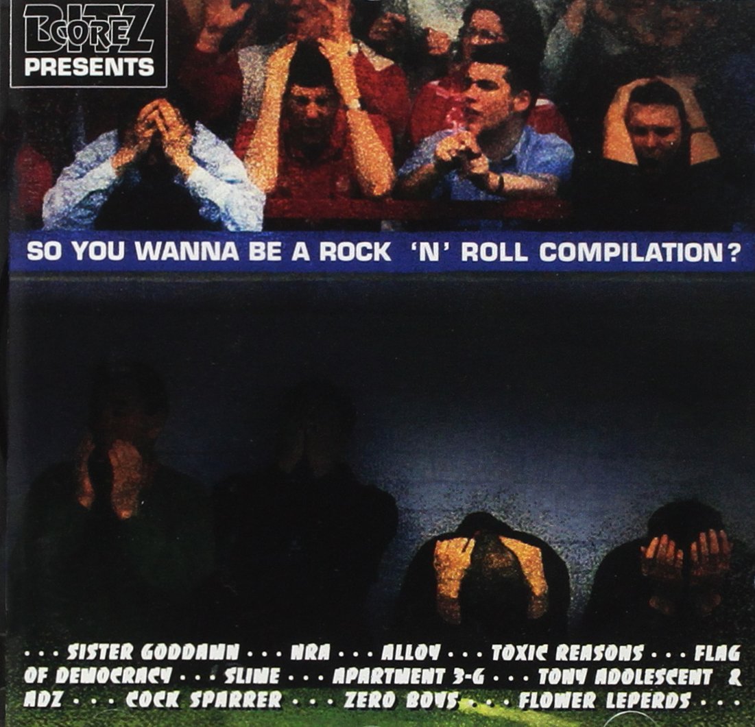 So You Wanna Be a Rock 'n' Roll Pop