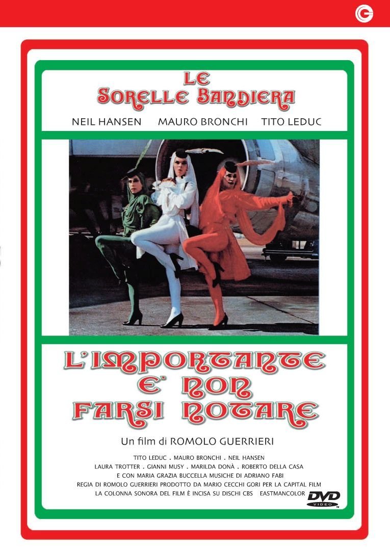 L'importante è Non farsi notare dvd