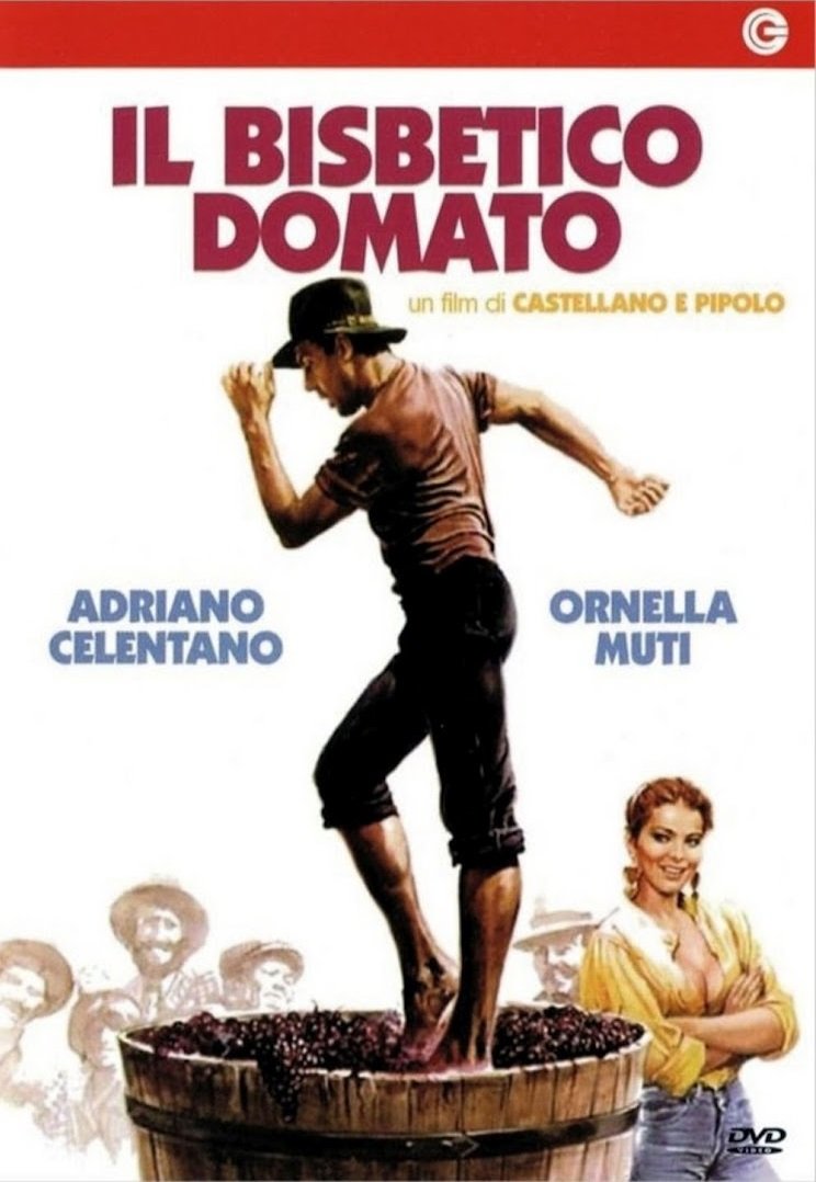 Il bisbetico domato Films
