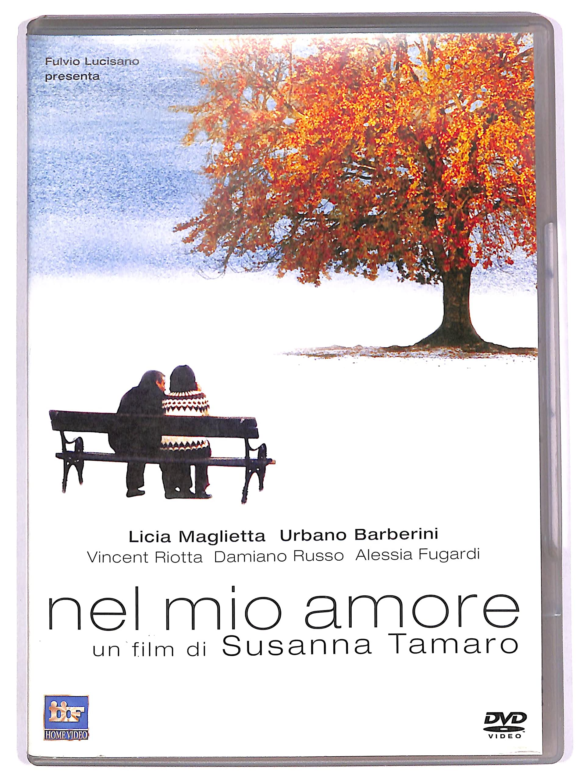 nel mio amore (Dvd) Italian Import Films